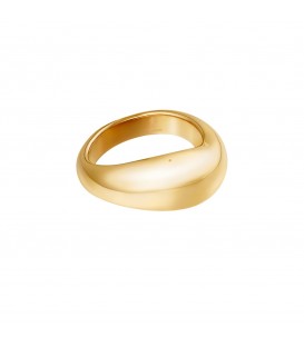 goudkleurige ring met een bredere voorkant (16)