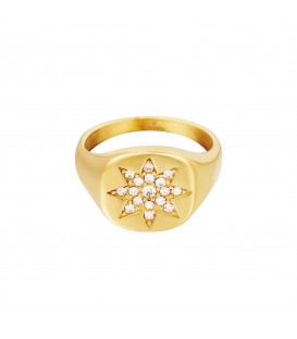 goudkleurige ring met grote ster van zirkoonsteentjes (16)
