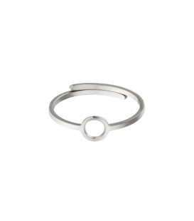 zilverkleurige ring met een open cirkel