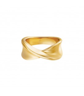 goudkleurige ring met een twist (17)