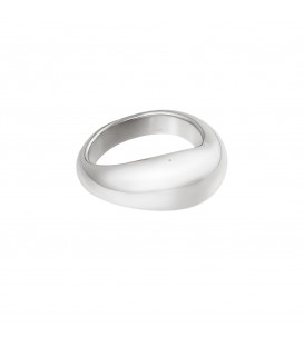 zilverkleurige ring met een bredere voorkant (18)