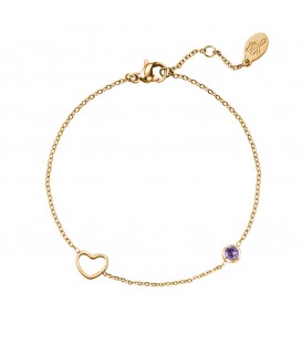 goudkleurige armband met paarse geboortesteen februari