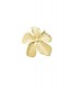 Grote goudkleurige bloemen broche
