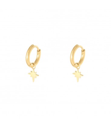 Goudkleurige oorbellen met bedel