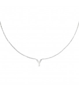 Zilverkleurige halsketting met initiaal Y